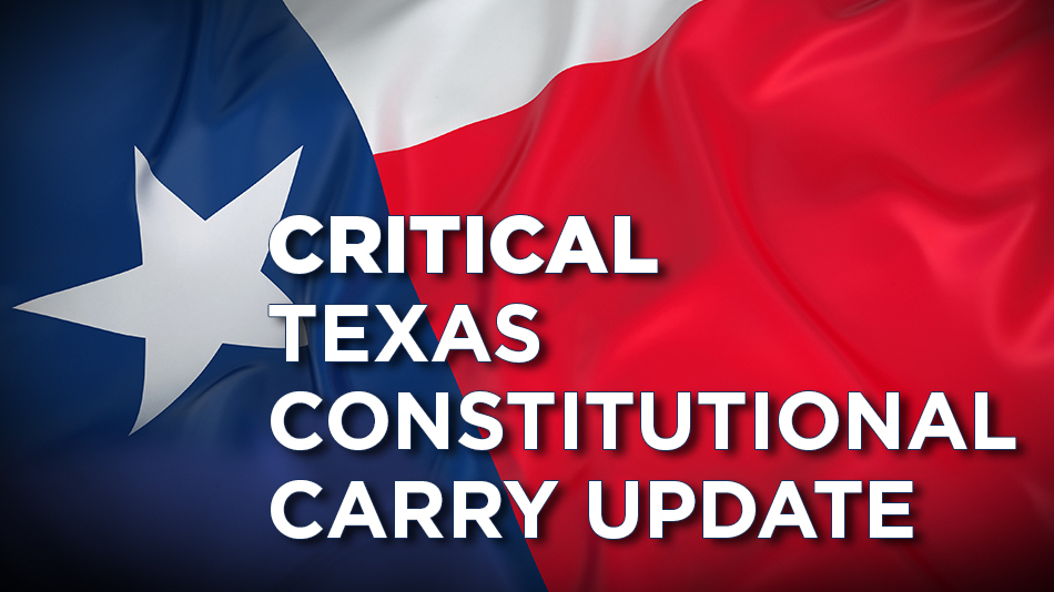 Critical Texas Constitutional Carry Update, Texas Flag